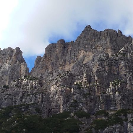 Appartamento A Sedico - Natura E Relax المظهر الخارجي الصورة